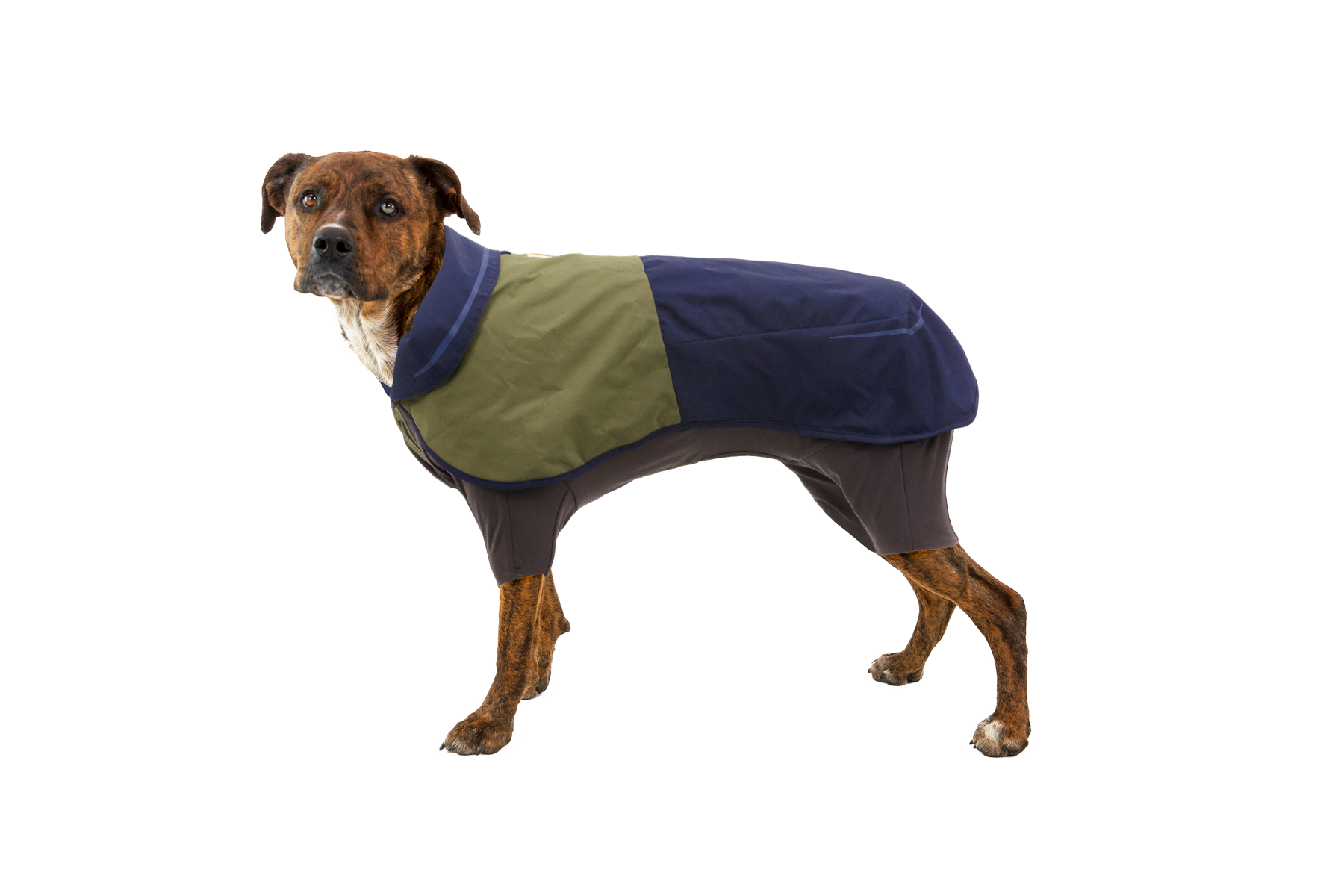 000_Sunshower-Coverall_Midnight-Blue_Zipper_On-Dog_SMALL_28cf621d-3c8a-4e77-9ba1-adefc3d02716.png
