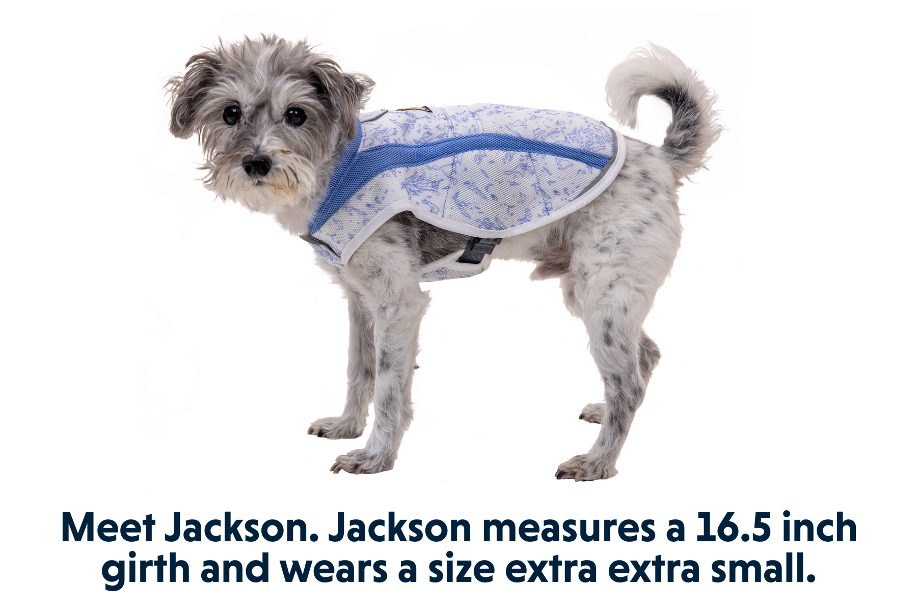 05403_Swamp-Cooler-Vest_Heliotrope-Purple_JACKSON_XXSmall.png