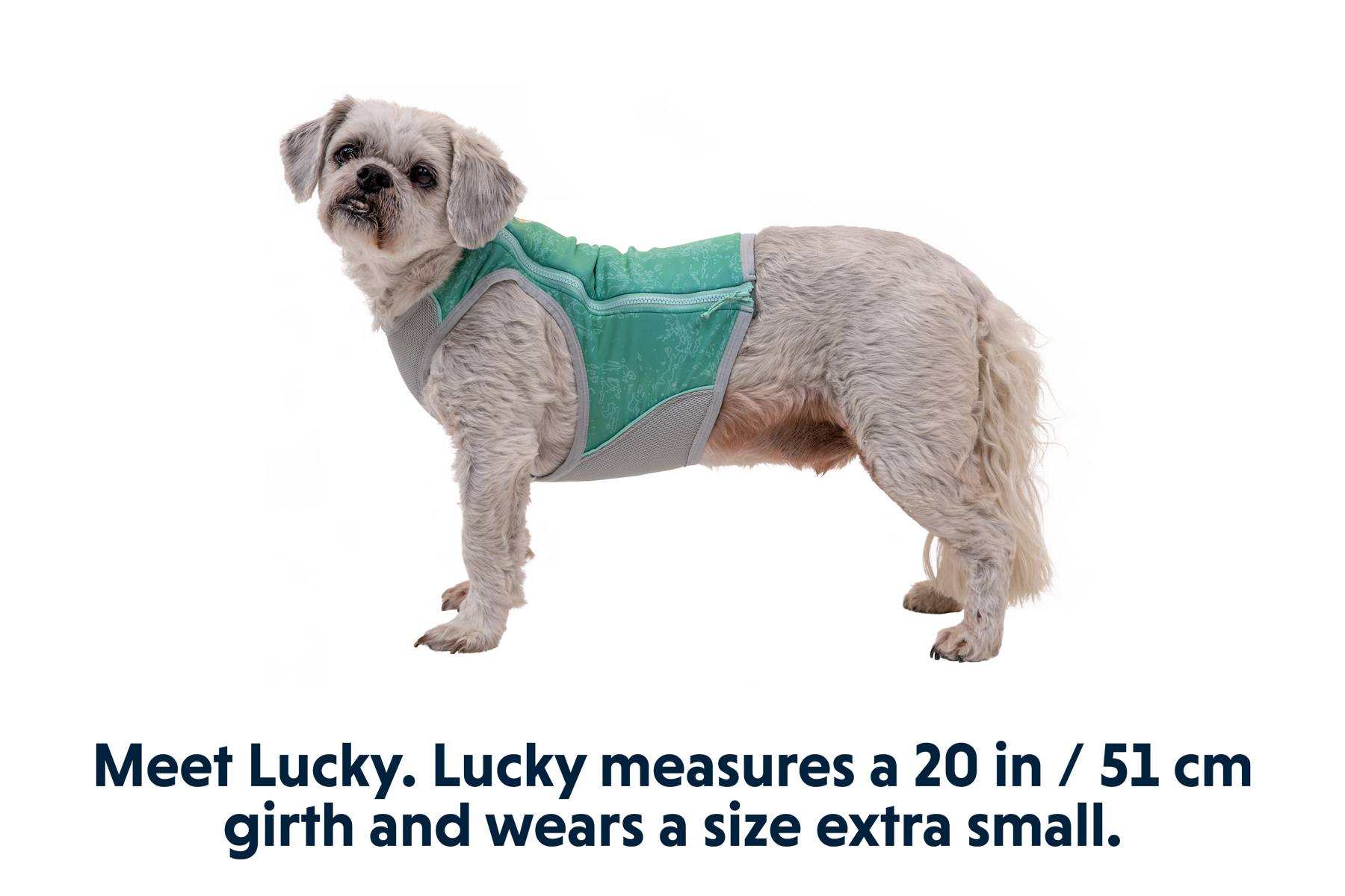 05451_Swamp-Cooler-Zip_Aurora-Teal_LUCKY_XSmall.png