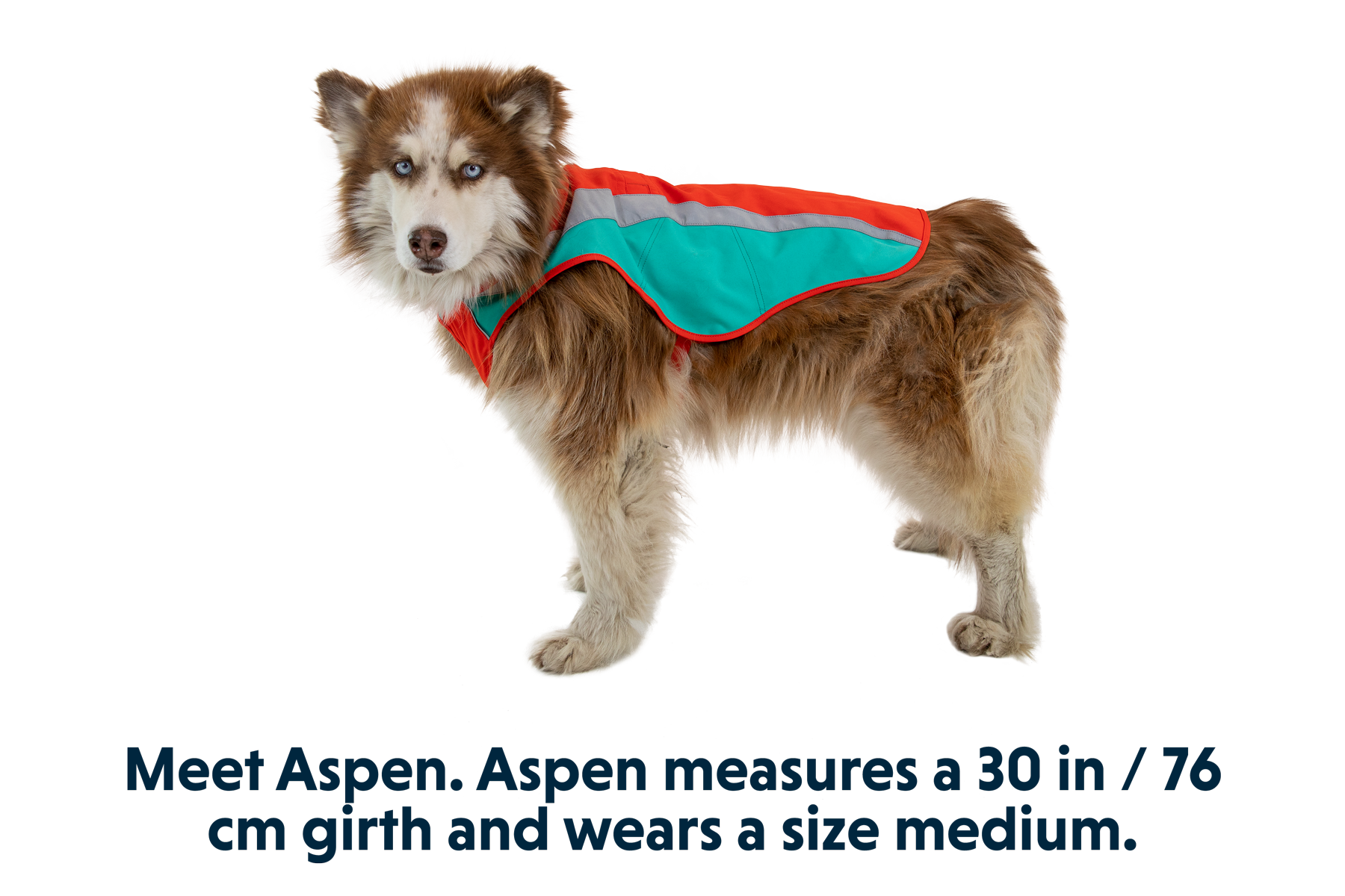 0577_Lumenglow_Blaze-Oragne_ASPEN_Medium_c33d0cf0-03eb-4572-800a-34066ecdbdc5.png