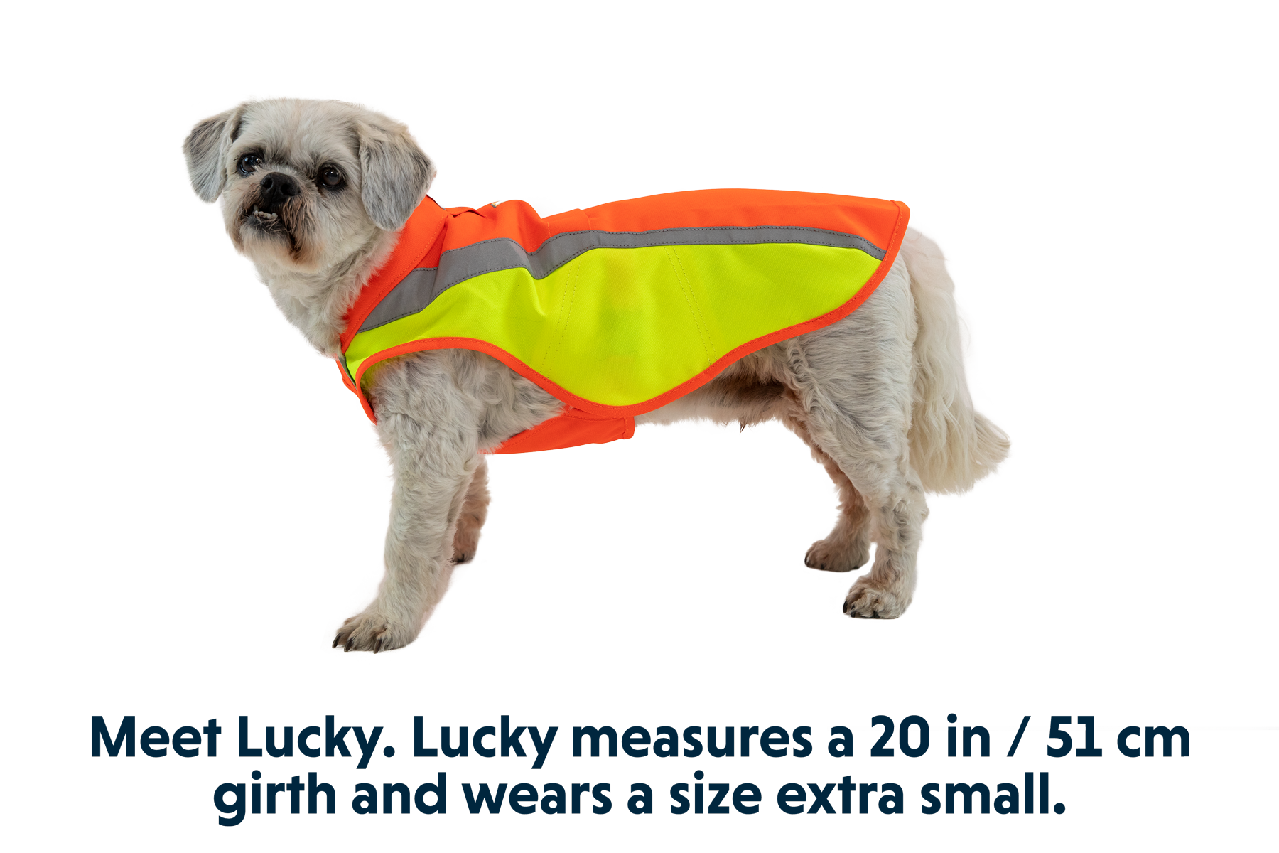 0577_Lumenglow_Blaze-Orange_LUCKY_XSmall.png