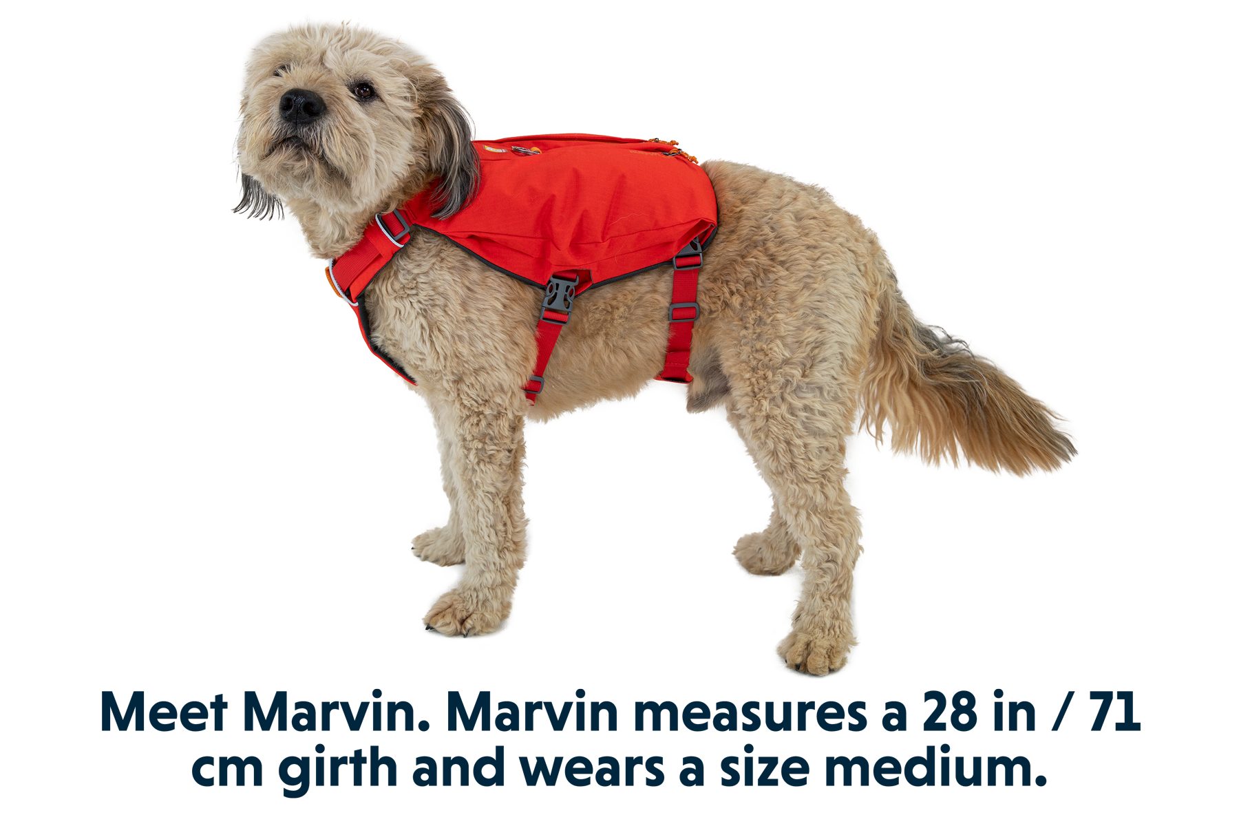 3035_Switchbak-Harness_Red-Sumac_MARVIN_Medium_a3a348f8-04e1-45cb-af4d-5d876d8d3a1d.png