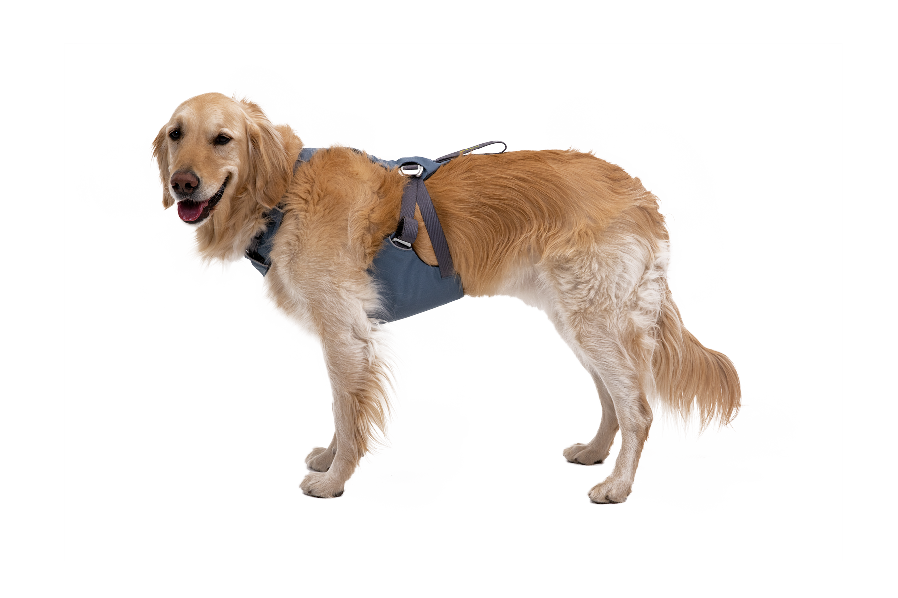 30602_Load-Up-Harness_Slate-Blue_MILLIE_Medium_No-Text.png