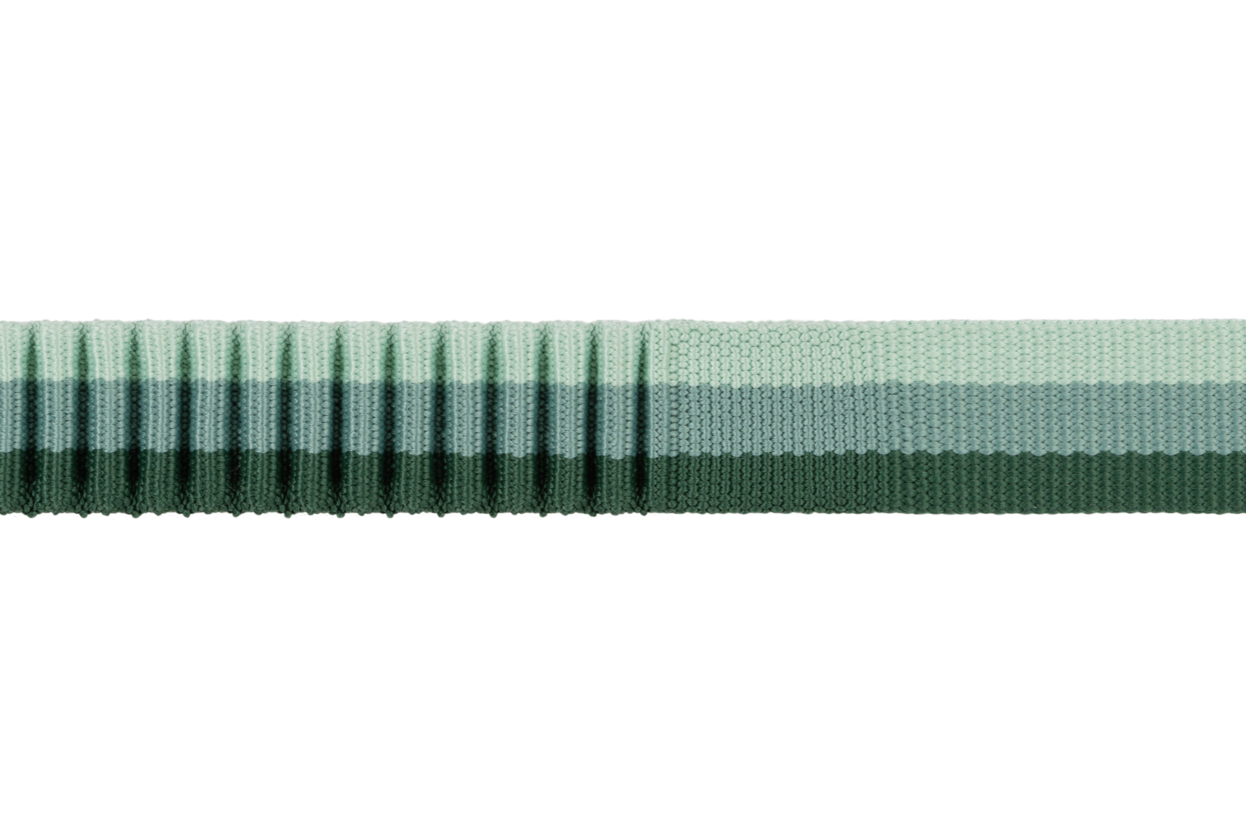 40356_RoamerLeash_RiverRockGreen_Webbing_SMALL_ede6588c-cc47-4a93-a009-90787cf77174.png