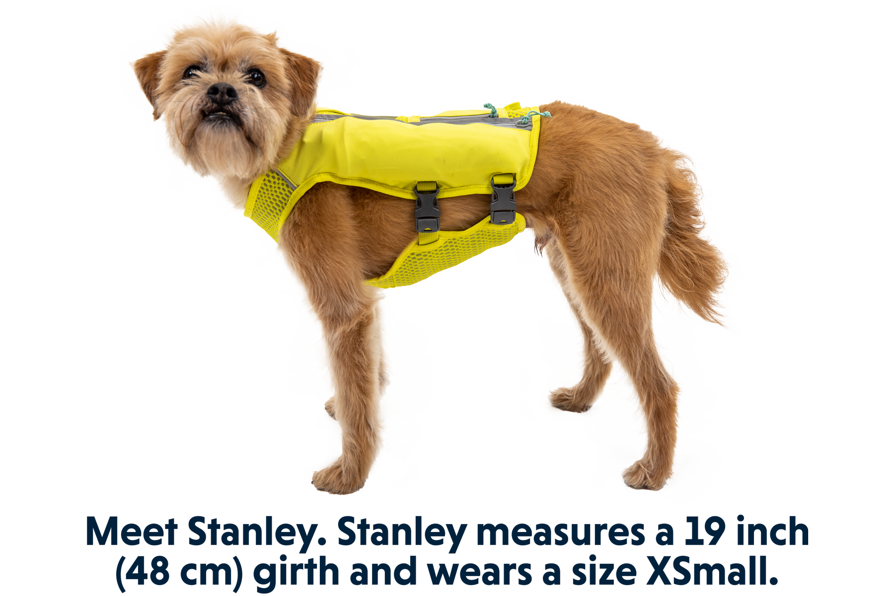 5080_Trail-Runner-Running-Vest_Stanley_XSmall.png