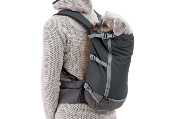 Web_JPG-3565_Hitch-Hiker-Backpack_Basalt-Gray_On-Back_STUDIO_2.png
